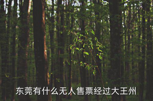 東莞有什么無人售票經(jīng)過大王州