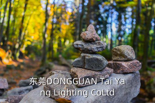 東莞DONGGUAN Tai Yang Lighting CoLtd