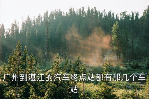 廣州到湛江坐車(chē)，從廣州到湛江坐什么車(chē)好