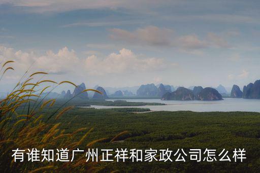 有誰知道廣州正祥和家政公司怎么樣