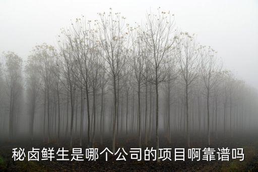 秘鹵鮮生是哪個公司的項目啊靠譜嗎