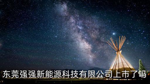 東莞市尚爾特太陽能科技有限公司，東莞的戰友還望告知 新能源科技歧視攜帶者嗎