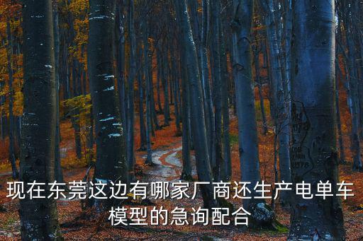 現在東莞這邊有哪家廠商還生產電單車模型的急詢配合