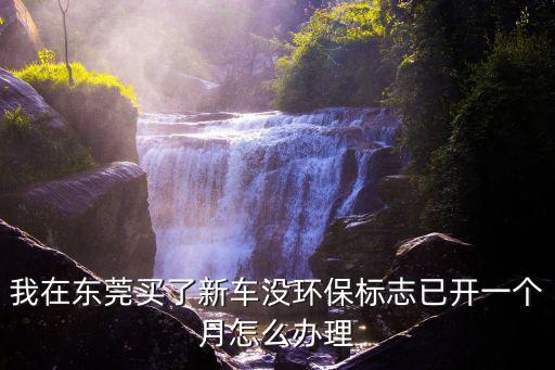 我在東莞買了新車沒環保標志已開一個月怎么辦理