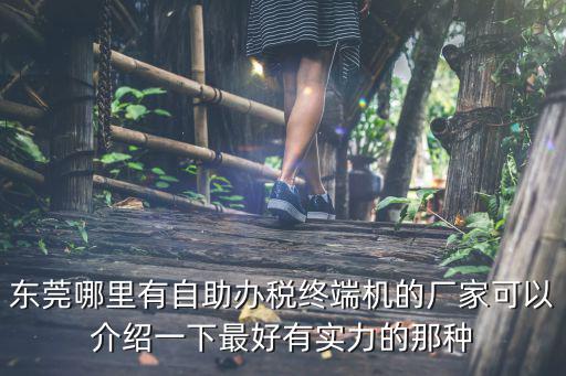 東莞哪里有自助辦稅終端機(jī)的廠家可以介紹一下最好有實(shí)力的那種