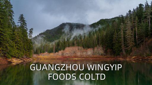 GUANGZHOU WINGYIP FOODS COLTD
