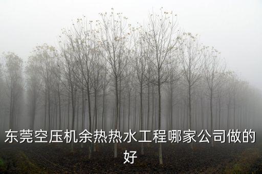 東莞空壓機余熱熱水工程哪家公司做的好