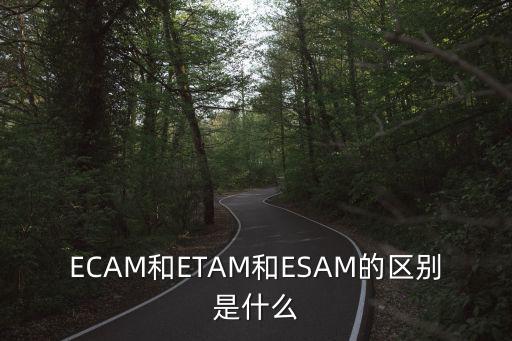 etam，ECAM和ETAM和ESAM的區別是什么