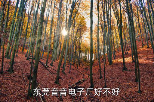 東莞樺聲電子有限公司，東莞音音電子廠好不好