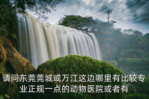 請問東莞莞城或萬江這邊哪里有比較專業正規一點的動物醫院或者有
