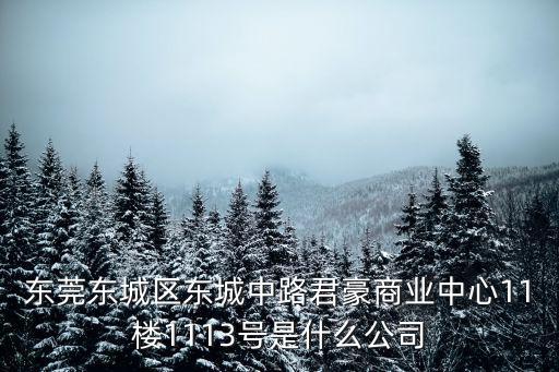 東莞東城區東城中路君豪商業中心11樓1113號是什么公司