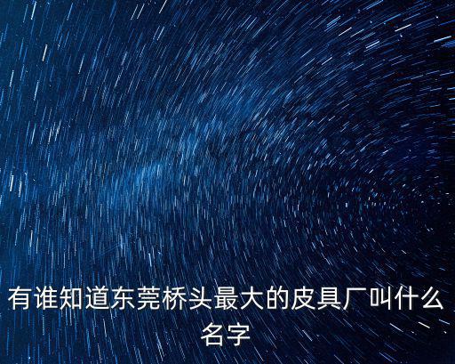 東莞兆順皮革有限公司，有誰(shuí)知道東莞橋頭最大的皮具廠叫什么名字