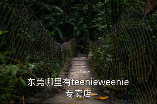 東莞哪里有teenieweenie專賣店