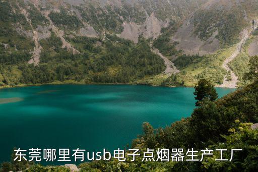 東莞哪里有usb電子點煙器生產工廠