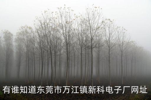 有誰(shuí)知道東莞市萬(wàn)江鎮(zhèn)新科電子廠網(wǎng)址