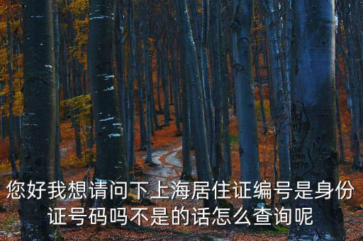 您好我想請問下上海居住證編號是身份證號碼嗎不是的話怎么查詢呢