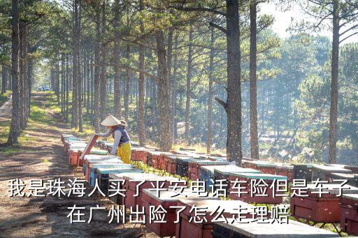 我是珠海人買了平安電話車險(xiǎn)但是車子在廣州出險(xiǎn)了怎么走理賠
