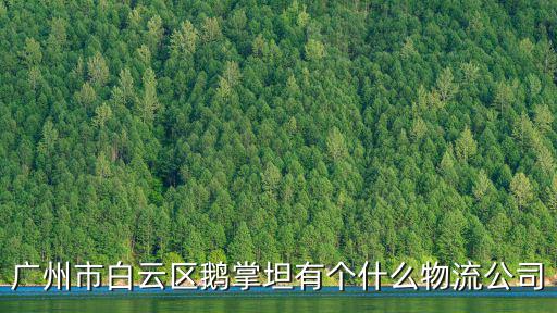 廣州市白云區(qū)鵝掌坦有個什么物流公司
