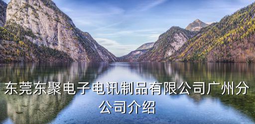 東莞東聚電子電訊制品有限公司廣州分公司介紹