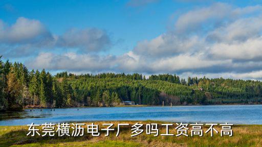 東莞橫瀝電子廠多嗎工資高不高