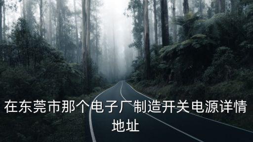 在東莞市那個電子廠制造開關電源詳情地址