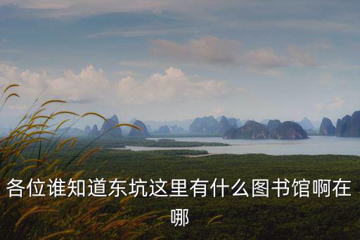 各位誰知道東坑這里有什么圖書館啊在哪
