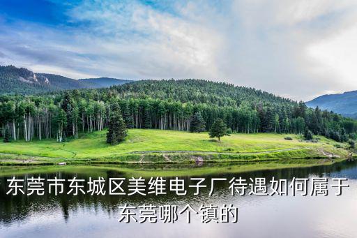 東莞市東城區(qū)美維電子廠待遇如何屬于東莞哪個鎮(zhèn)的