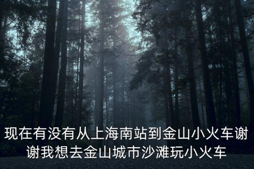 金山小火車，現在有沒有從上海南站到金山小火車謝謝我想去金山城市沙灘玩小火車