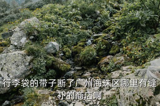 廣州海珠區織補，行李袋的帶子斷了廣州海珠區哪里有縫補的商店啊