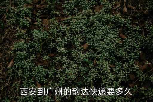 西安到廣州的韻達快遞要多久