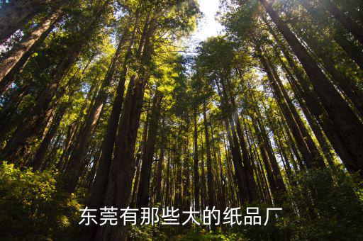 東莞有那些大的紙品廠