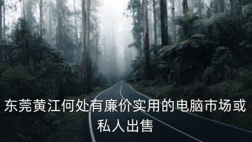 東莞黃江何處有廉價實用的電腦市場或私人出售