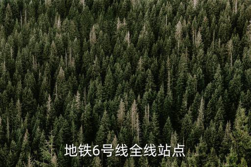 6號(hào)地鐵，地鐵6號(hào)線全線站點(diǎn)