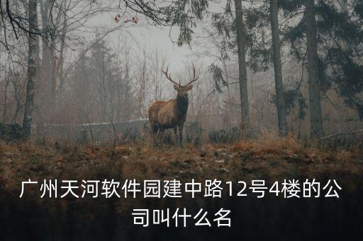 廣州天河軟件園建中路12號4樓的公司叫什么名