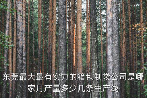 東莞最大最有實力的箱包制袋公司是哪家月產量多少幾條生產線