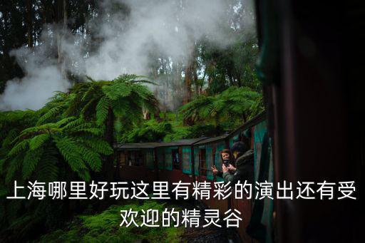 上海演出，上海市演出市場管理條例實施細則
