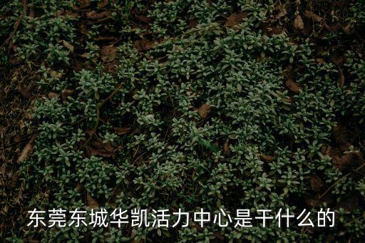 東莞東城華凱活力中心是干什么的