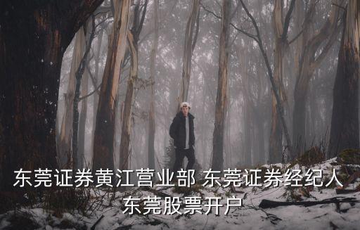 東莞證券黃江營(yíng)業(yè)部 東莞證券經(jīng)紀(jì)人 東莞股票開(kāi)戶(hù)
