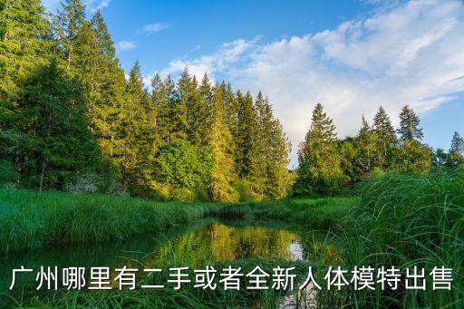廣州哪里有二手或者全新人體模特出售