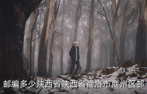 郵編多少陜西省陜西省商洛市商州區郵