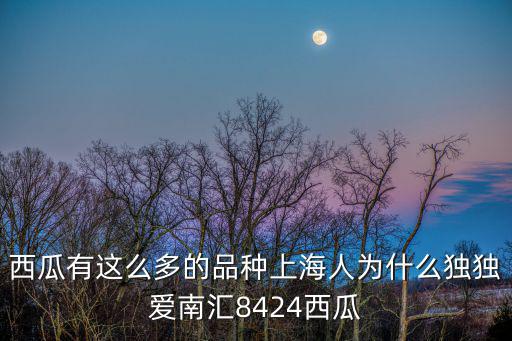 西瓜有這么多的品種上海人為什么獨獨愛南匯8424西瓜
