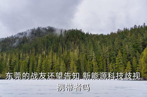 東莞的戰友還望告知 新能源科技歧視攜帶者嗎