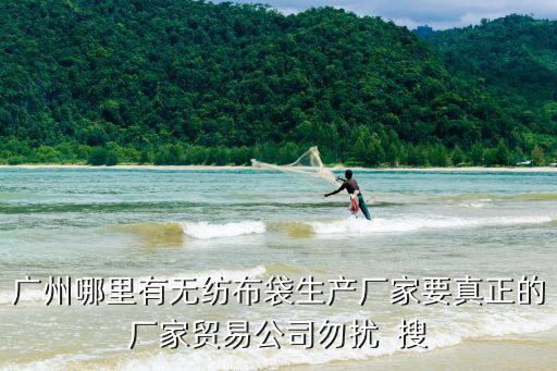 廣州無紡布哪家最好，廣州哪里有無紡布袋生產廠家要真正的廠家貿易公司勿擾  搜