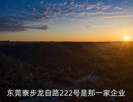 東莞寮步龍自路222號是那一家企業