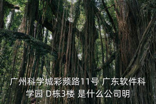廣州科學城彩頻路11號 廣東軟件科學園 D棟3樓 是什么公司明