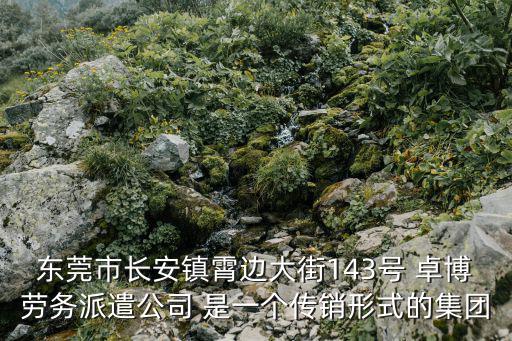 東莞市長安鎮霄邊大街143號 卓博勞務派遣公司 是一個傳銷形式的集團