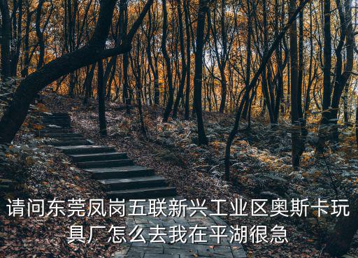 請問東莞鳳崗五聯(lián)新興工業(yè)區(qū)奧斯卡玩具廠怎么去我在平湖很急