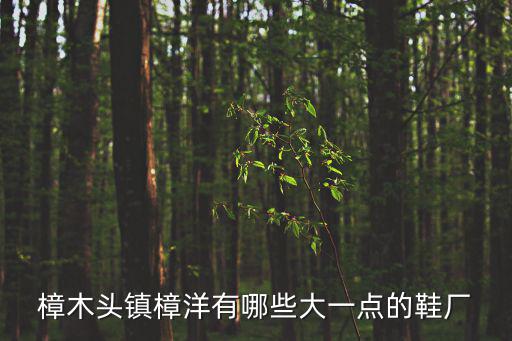 樟木頭鎮樟洋有哪些大一點的鞋廠