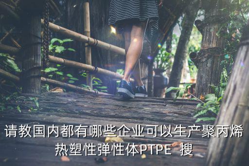 請教國內都有哪些企業可以生產聚丙烯熱塑性彈性體PTPE  搜
