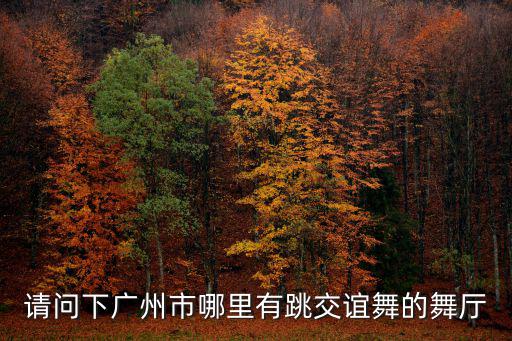 請問下廣州市哪里有跳交誼舞的舞廳